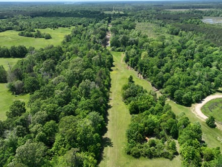 Bayou La Nana Tract, Sabine Parish, 192 Acres +/-