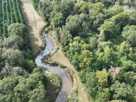 Ansley Hardwood Tract North, Jackson Parish, 296 +/-
