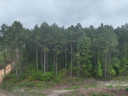 The Hideaway at Maeora Lake, Southwest Caddo Parish, LA, 520+/- acres