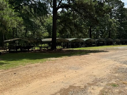 Holly Mound Green Timber Duck Hunting, Lafayette County, AR