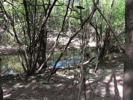 Cypress Tract, Natchitoches Parish, 1175 Acres +/-