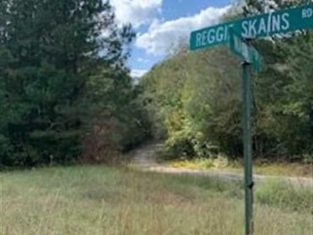 Harmon and Greenwald Tracts of Union Parish, 1,046 Acres +/- LAUNIOJKJP1046