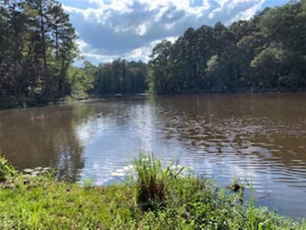 Harmon and Greenwald Tracts of Union Parish, 1,046 Acres +/- LAUNIOJKJP1046