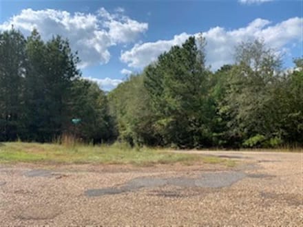 Harmon and Greenwald Tracts of Union Parish, 1,046 Acres +/- LAUNIOJKJP1046