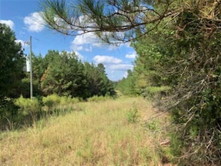 Harmon and Greenwald Tracts of Union Parish, 1,046 Acres +/- LAUNIOJKJP1046