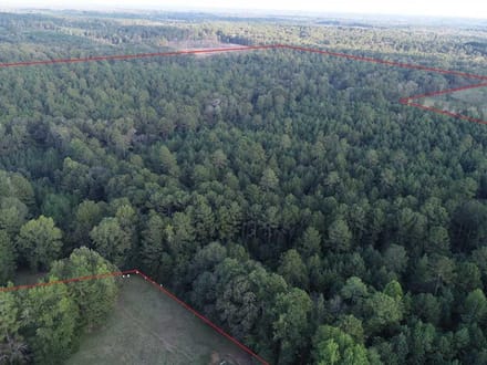 Harmon and Greenwald Tracts of Union Parish, 1,046 Acres +/- LAUNIOJKJP1046