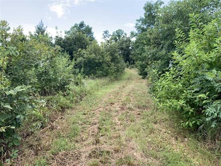 Broadmoor Timber Tract, Hot Spring County, AR, 1,148 Acres +/-