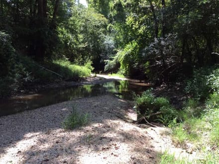 Rosemary Road - Pearl River Tract, Hinds County, MS, 1,531 Acres +/-