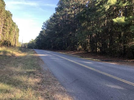 Red Bluff Road Tract, DeSoto Parish, 525 Acres +/-