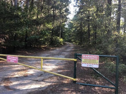 Red Bluff Road Tract, DeSoto Parish, 525 Acres +/-