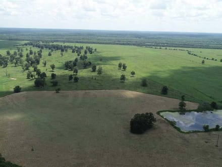 Allbritton Cattle Tract, Natchitoches Parish, 1,838 Acres +/-