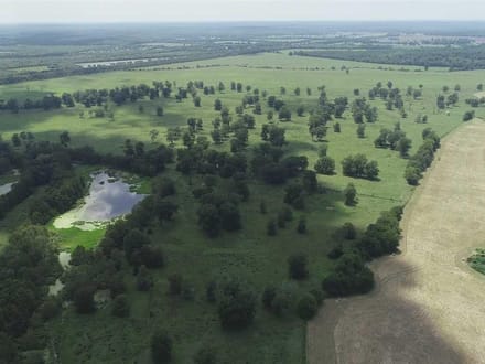 Allbritton Cattle Tract, Natchitoches Parish, 1,838 Acres +/-