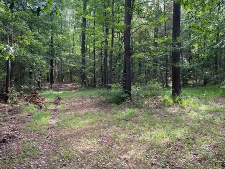 Bodcau Bayou, Bossier, 40ac+/-