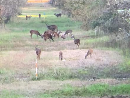 Buck Bayou Hunting Lodge, St Landry, LA, +/-1280ac