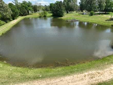 Bayou La Nana Tract, Sabine Parish, 192 Acres +/-