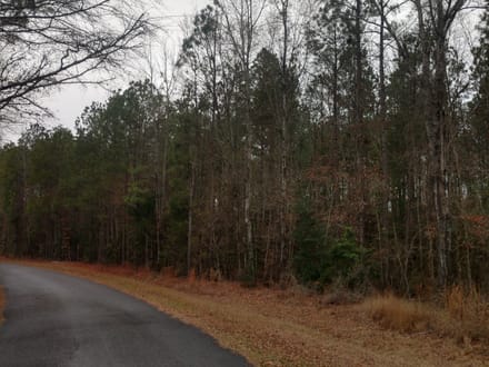 Acadia Land LLC, Bienville Parish, 137 Acres +/-