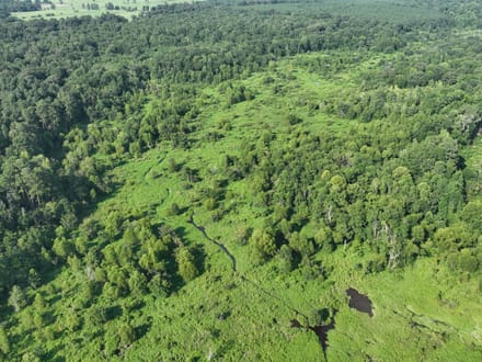 Tiger Back Lodge, Little River County, 670 Acres +/-