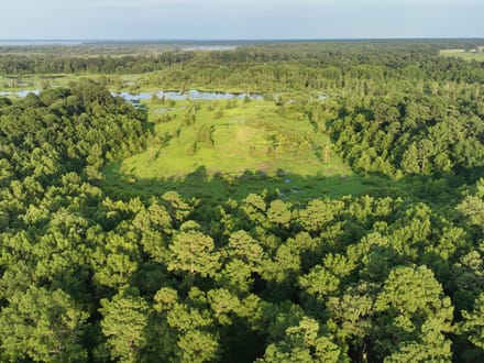 Tiger Back Lodge, Little River County, 670 Acres +/-