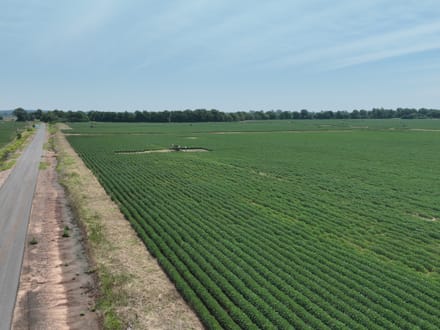 Douglas Farms at Gilliam Louisiana, Caddo Parish 547 +/- acres