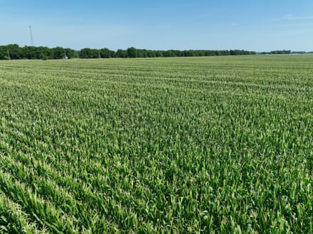 Dixie Ag Property, Caddo Parish, LA, 89.28 +/- acres