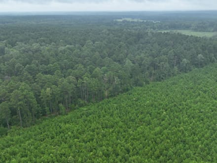 The Hideaway at Maeora Lake, Southwest Caddo Parish, LA, 520+/- acres