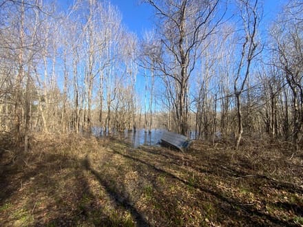 French Fork Tract, LaSalle Parish, 158 Acres +/-