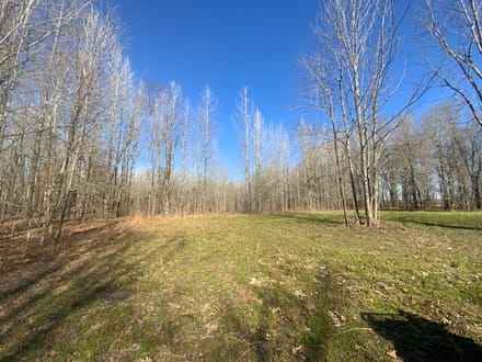 French Fork Tract, LaSalle Parish, 158 Acres +/-