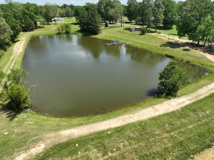 Bayou La Nana Tract, Sabine Parish, 192 Acres +/-