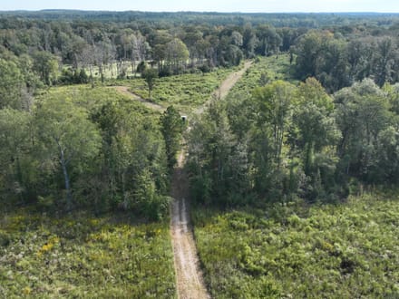 Ansley Hardwood Tract North, Jackson Parish, 296 +/-