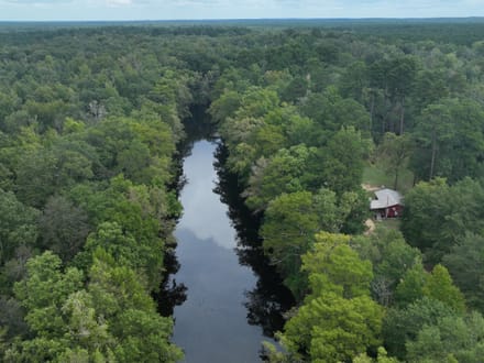 Bodcau Bayou Ducks and Bucks, Lafayette County, 352 Acres +/-