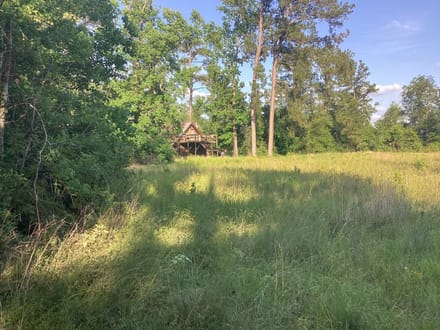 Lumas Road Tract, Beauregard Parish, 80 Acres ≠