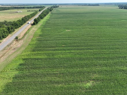 Dixie Ag Property, Caddo Parish, LA, 89.28 +/- acres