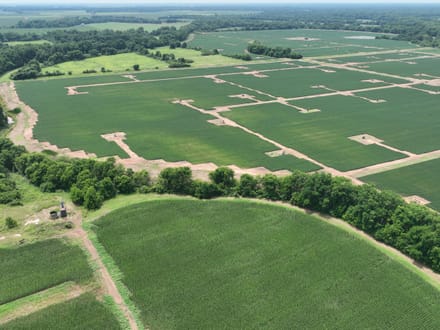 Douglas Farms at Gilliam Louisiana, Caddo Parish 547 +/- acres