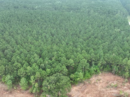 The Hideaway at Maeora Lake, Southwest Caddo Parish, LA, 520+/- acres