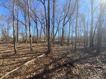 French Fork Tract, LaSalle Parish, 158 Acres +/-