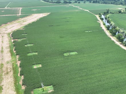 Douglas Farms at Gilliam Louisiana, Caddo Parish 547 +/- acres