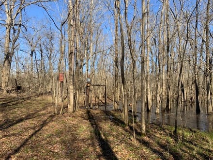 French Fork Tract, LaSalle Parish, 158 Acres +/-