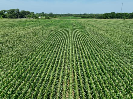 Dixie Ag Property, Caddo Parish, LA, 89.28 +/- acres