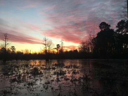 Tiger Back Lodge, Little River County, 670 Acres +/-
