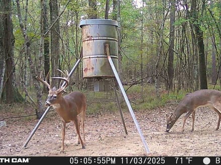 Sanctuary on Wiggins Bayou