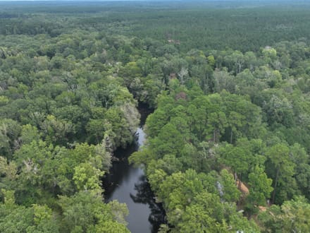 Bodcau Bayou Ducks and Bucks, Lafayette County, 352 Acres +/-
