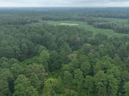 The Hideaway at Maeora Lake, Southwest Caddo Parish, LA, 520+/- acres