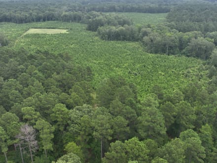 The Hideaway at Maeora Lake, Southwest Caddo Parish, LA, 520+/- acres