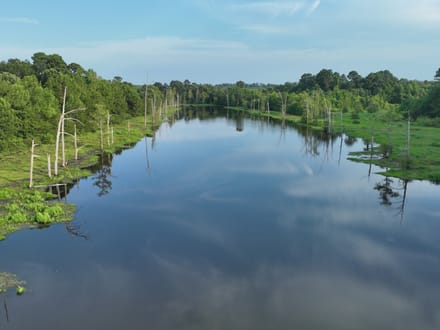 Tiger Back Lodge, Little River County, 670 Acres +/-