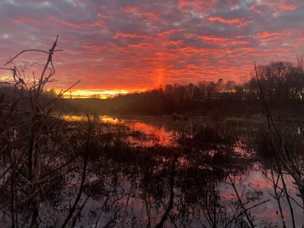 Tiger Back Lodge, Little River County, 670 Acres +/-