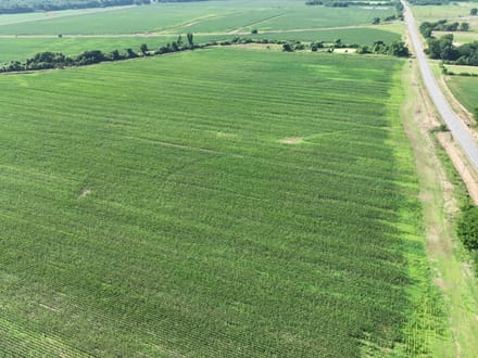 Dixie Ag Property, Caddo Parish, LA, 89.28 +/- acres