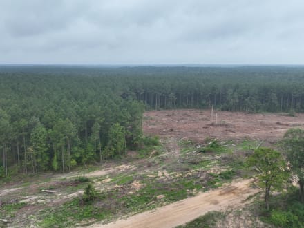 The Hideaway at Maeora Lake, Southwest Caddo Parish, LA, 520+/- acres