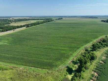 Dixie Ag Property, Caddo Parish, LA, 89.28 +/- acres