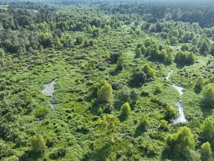 Tiger Back Lodge, Little River County, 670 Acres +/-