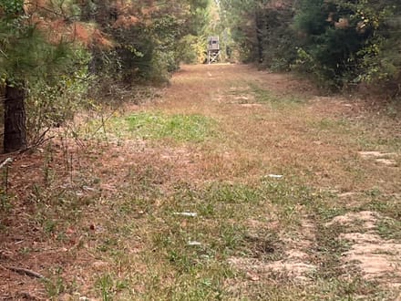 Union Texas Road Tract, Bossier Parish, +/- 140 Acres